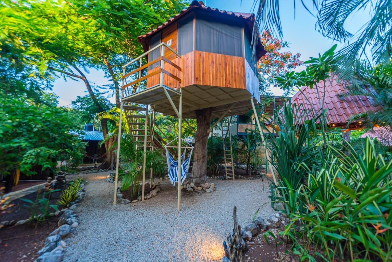 Casa Tropical Playa Grande Bed & Breakfast Cuajiniquil Exterior photo