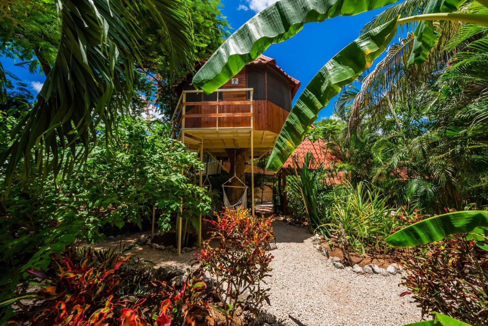 Casa Tropical Playa Grande Bed & Breakfast Cuajiniquil Exterior photo
